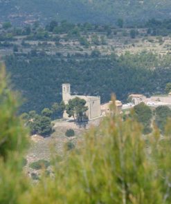 Rubió